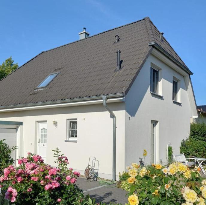 Haus-Am-See-Pratzschwitz Pirna Exterior photo
